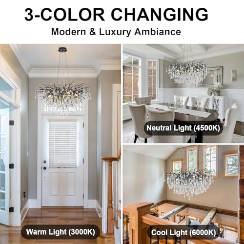 Chandeliers for Dining Room
