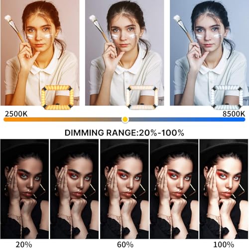 U200 Phone Video Rig with Light & 3 Cold Shoes for Video Recording