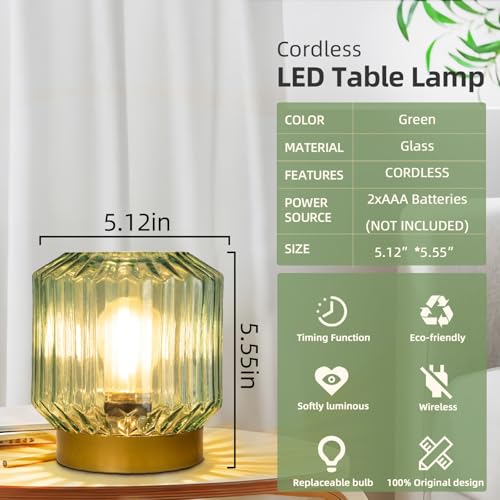 Battery Operated Lamp