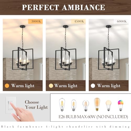 4 Light Farmhouse Chandelier Light Fixture