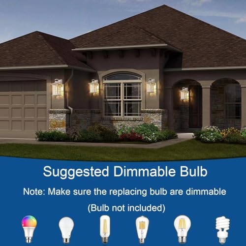 2 Pack Motion Sensor Porch Lights White Dusk to Dawn Outdoor Wall Lantern (2 Count)
