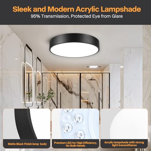 Flush Mount Ceiling Light (Black)