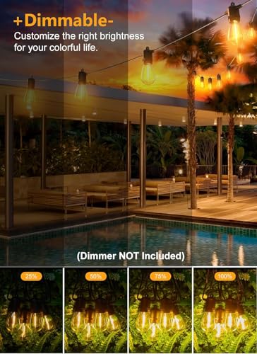 Outdoor String Lights