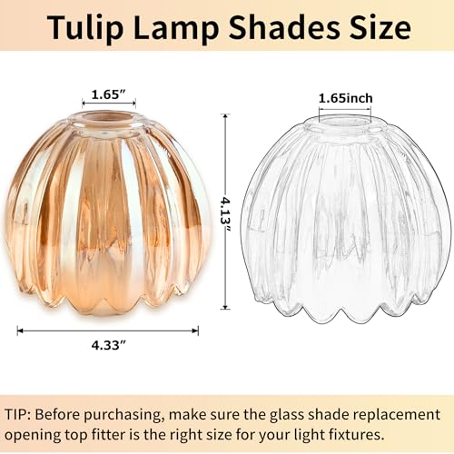 Amber Tulip Glass Lamp Shades Set of 2 (2 Count)