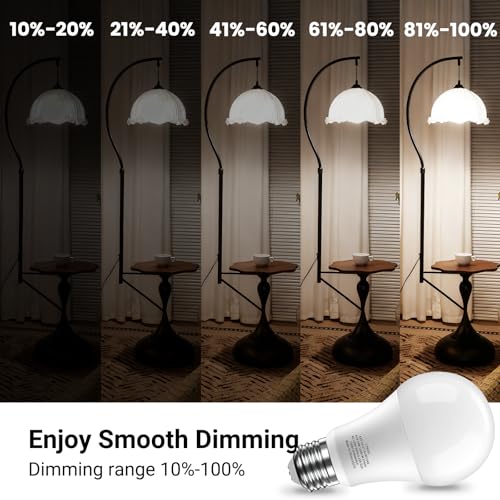 LED Light Bulb (6 Count)