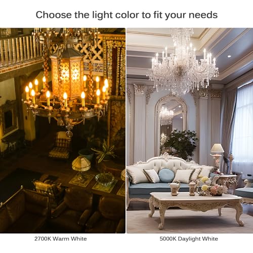B11 Chandelier Light Bulbs (12 Count)