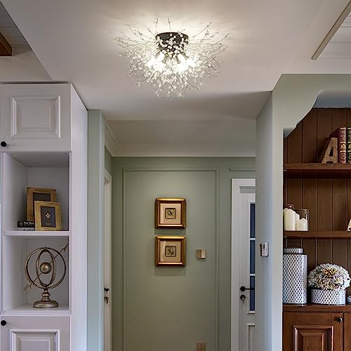 Black Ceiling Light Fixture