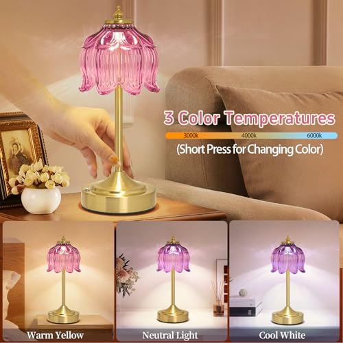 Cordless Table Lamp
