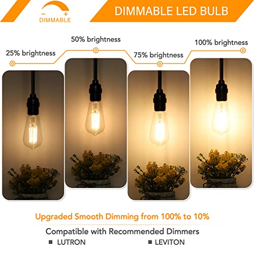Dimmable Vintage LED Edison Bulbs 60W Equivalent 6W 850 Lumens (12 Count)
