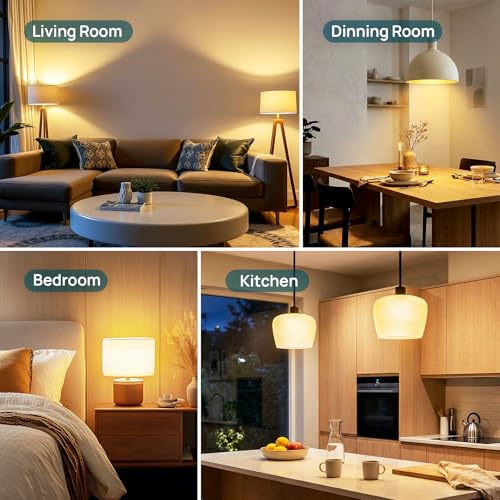 A19 Dimmable LED Light Bulbs (24 Count)