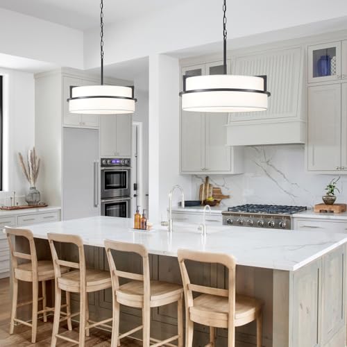 19.7" Black Drum Chandelier