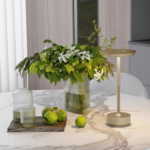 2 Pack Rechargeable Table Lamps Cordless (2 Count)