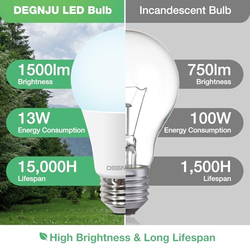 100W Equivalent A19 5000K Daylight LED Light Bulbs (3 Count)