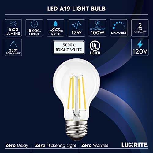 Vintage A19 LED Light Bulbs 100W Equivalent (2 Count)