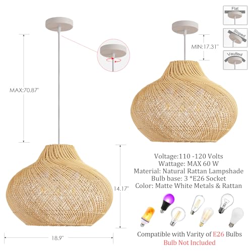 18.9" Rattan Pendant Light