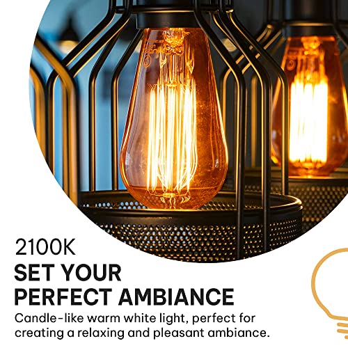 Vintage Incandescent Edison Light Bulbs (4 Count)