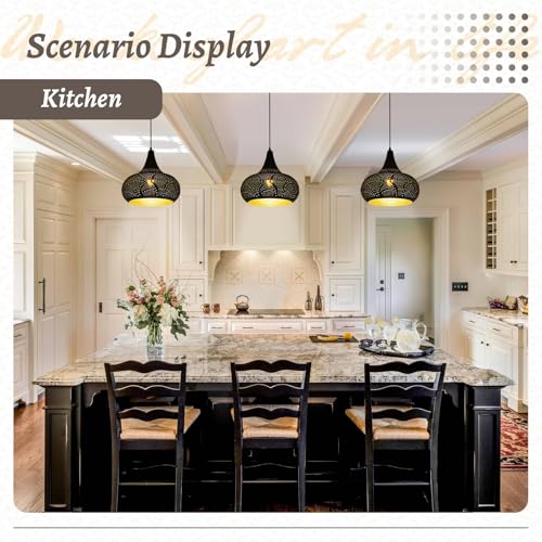 Vintage Black Pendant Light Set of 2 (2 Count)
