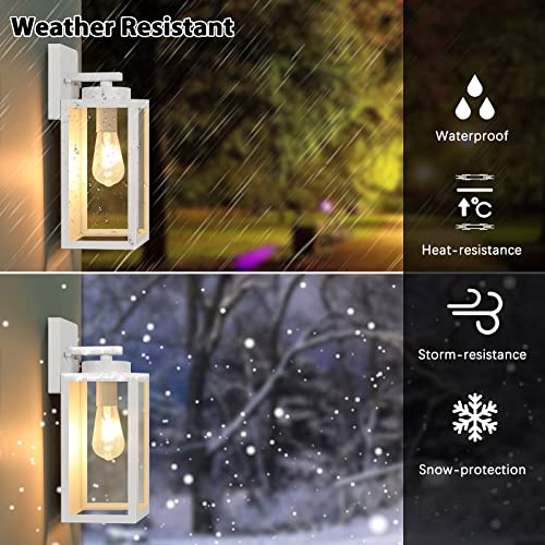 Outdoor Wall Light Fixtures (2 Count)