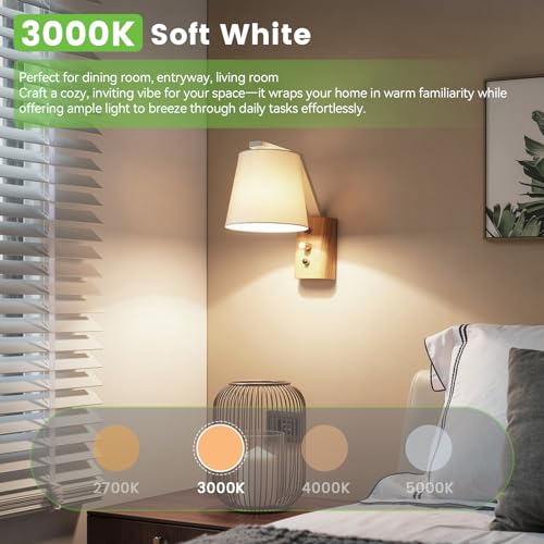 A19 LED Light Bulbs (4 Count)