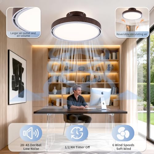 Bladeless Ceiling Fans with Lights and Remote