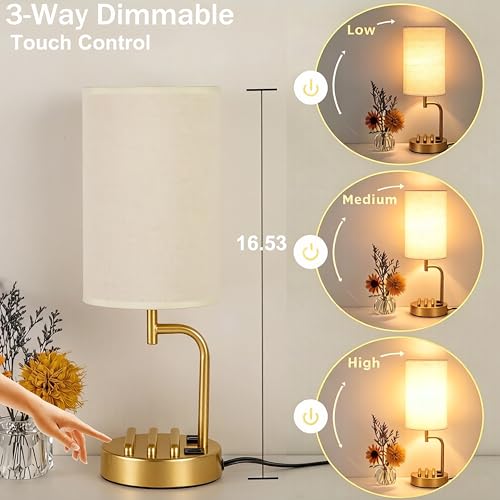 Touch Control USB Table Lamp with USB C