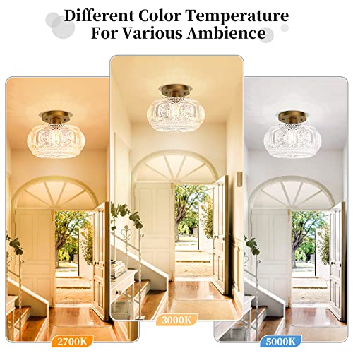 Globe Glass Semi Flush Mount Ceiling Light Fixture
