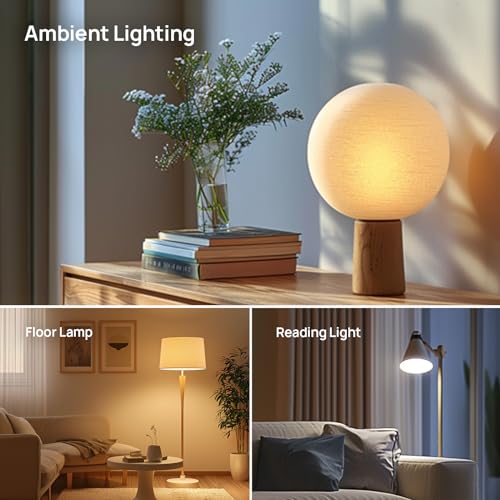 A19 LED Light Bulbs (6 Count)