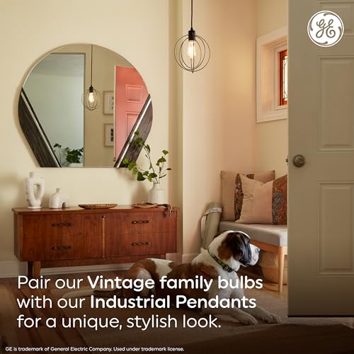Vintage Style LED Light Bulbs (8 Count)
