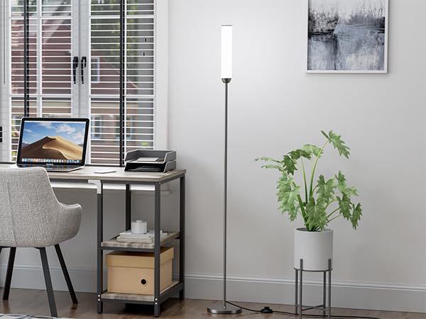 LED Floor Lamp with Remote Control