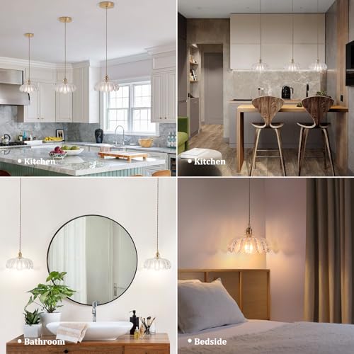Pendant Light with Clear Scindapsus Glass Lmapshade
