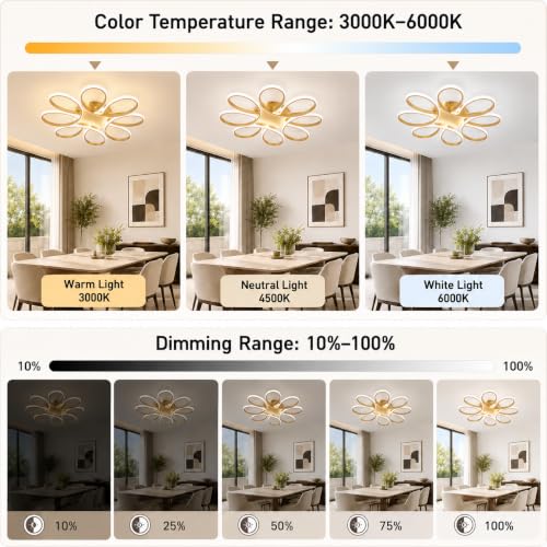 29.53 inch Modern LED Ceiling Light