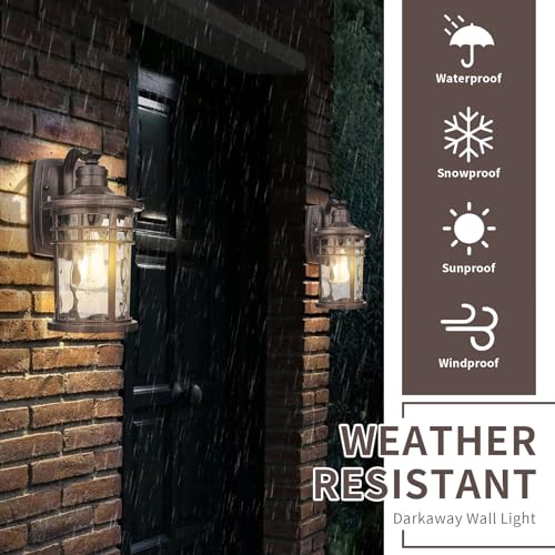 Outdoor Wall Light Fixture (2 Count)
