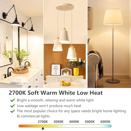 A19 LED Light Bulbs (4 Count)