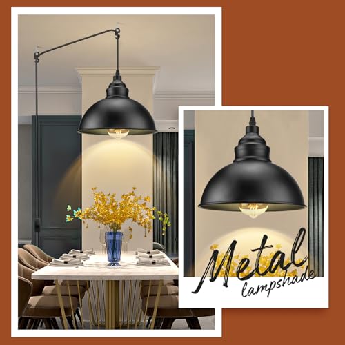 Plug in Pendant Light