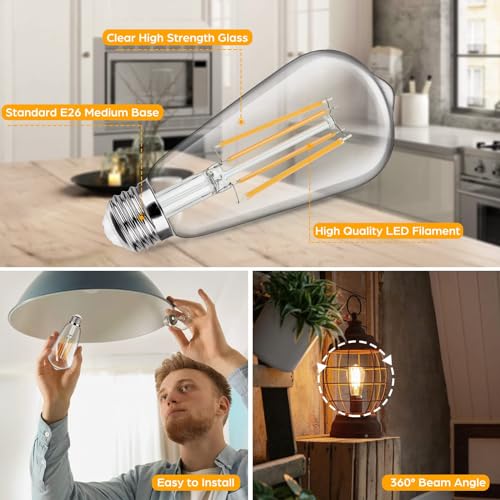 12 Pack Vintage LED Edsion Bulbs 100W Equivalent (12 Count)