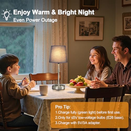 Cordless Table Lamps Set of 2 (2 Count)