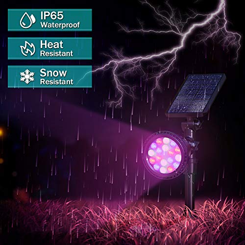 Solar Outdoor Lights (2 Count)
