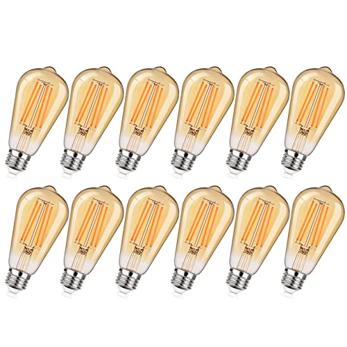Dimmable Vintage LED Edison Bulbs 60W Equivalent 6W 850 Lumens (12 Count)
