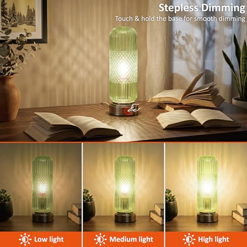11.6" Touch Dimmable Table Lamp with Ribbed Glass Shade