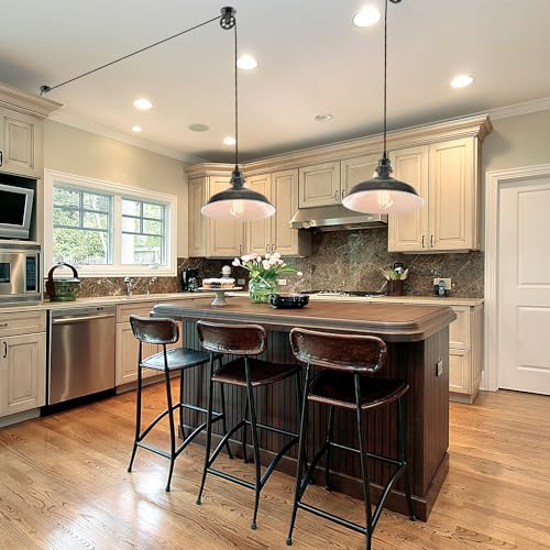 Plug in Pendant Light With Switch