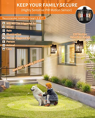 Motion Sensor Outdoor Wall Light with Dimmable Bulb
