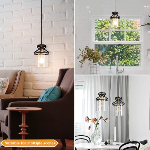 Modern Black and Gold Plug in Hanging Lamp