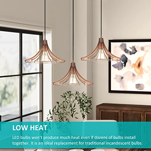 Dimmable Vintage LED Edison Bulbs 60W Equivalent 6W 850 Lumens (12 Count)