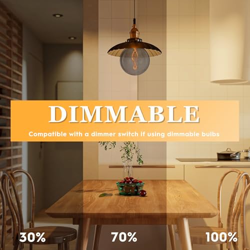 Unique Decorative Light Bulb Dimmable LED Low Lumen E26 Smoke G125
