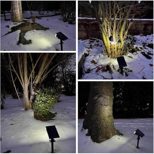 Solar Lights Outdoor Waterproof IP65 (6 Count)