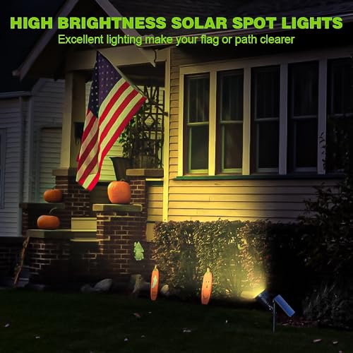 Solar Lights Outdoor (2 Count)