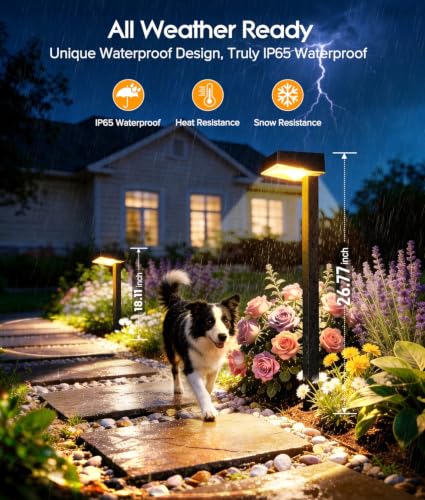 Solar Pathway Lights Outdoor (12 Count)