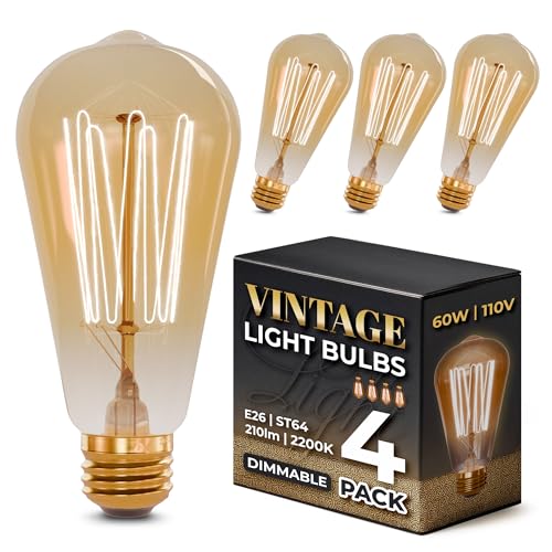 4 Pack Vintage Edison Bulbs (4 Count)