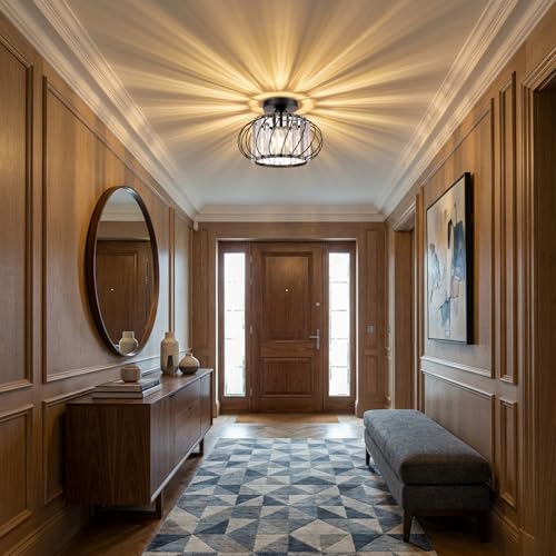 Black Crystal Ceiling Light Fixture