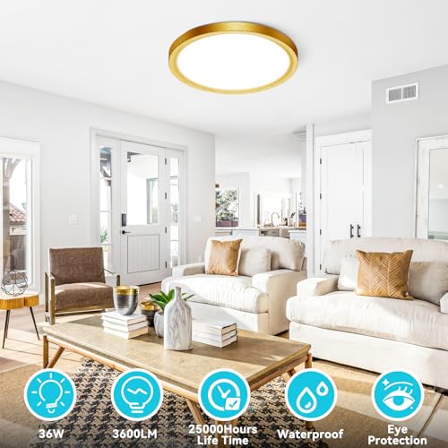 16Inch Flush Mount LED Ceiling Light Fixture (2 Count)